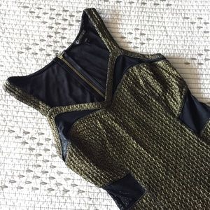 Express Gold & Black Fitted Dress with Cutouts